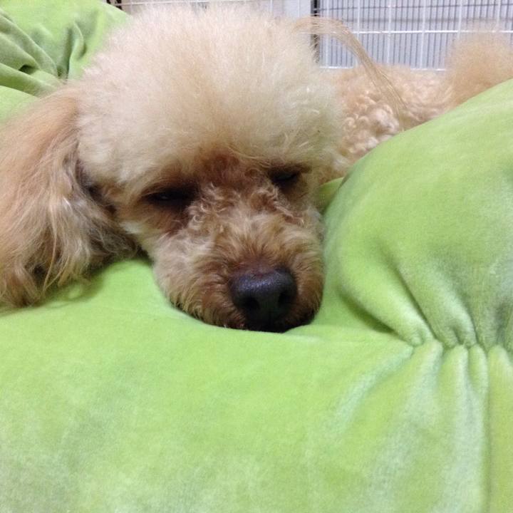 8abc5471 00a4 43dc 9c7c 005e55c1489f