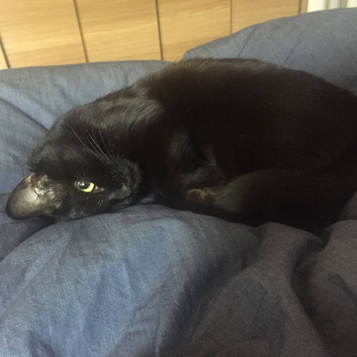 8abd0e7d f905 47da 9015 b09fc10f977b