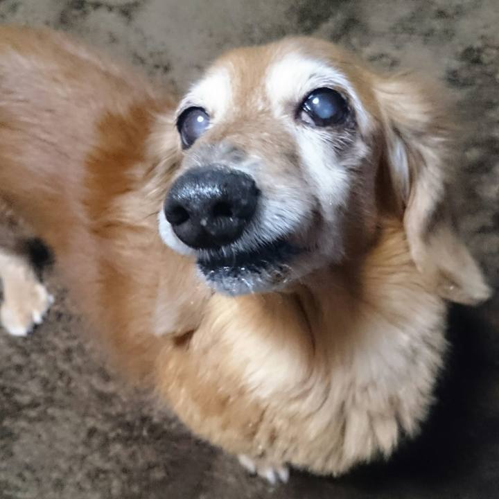 8abd7275 9086 4f89 9ea5 b32e21c55701