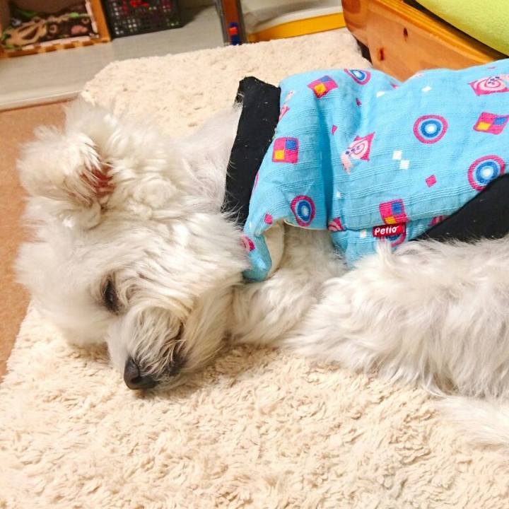 8abe082b b298 4649 89c8 056cee2354f7