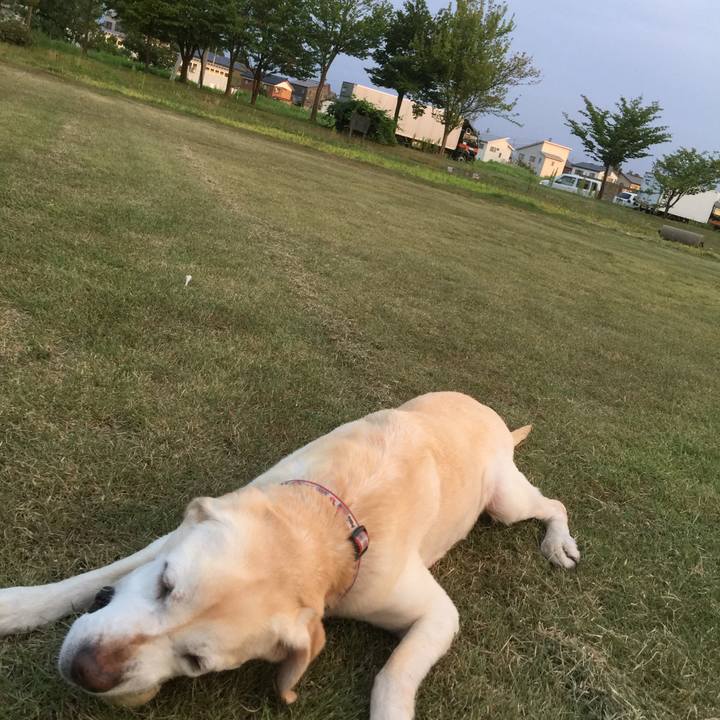 8abe3bbc 1c5d 4234 8fb3 c5c346b6cdd8