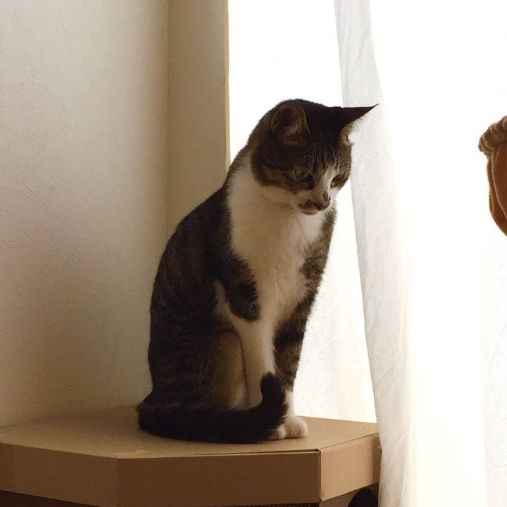 8abe9b33 c0c3 4bc2 8d45 b00f6a364b81