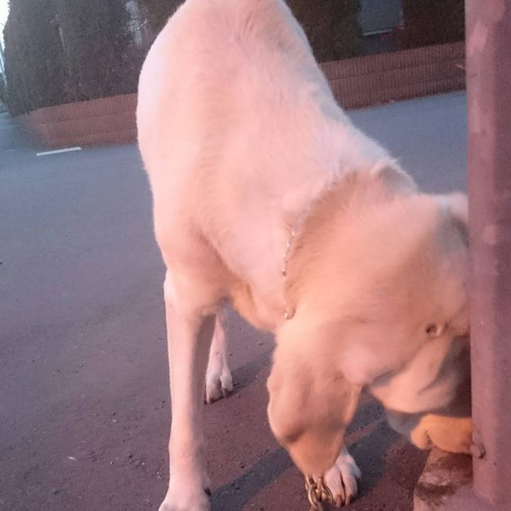 8abecce7 801a 4ea8 9bcd c5a2ae182ba6