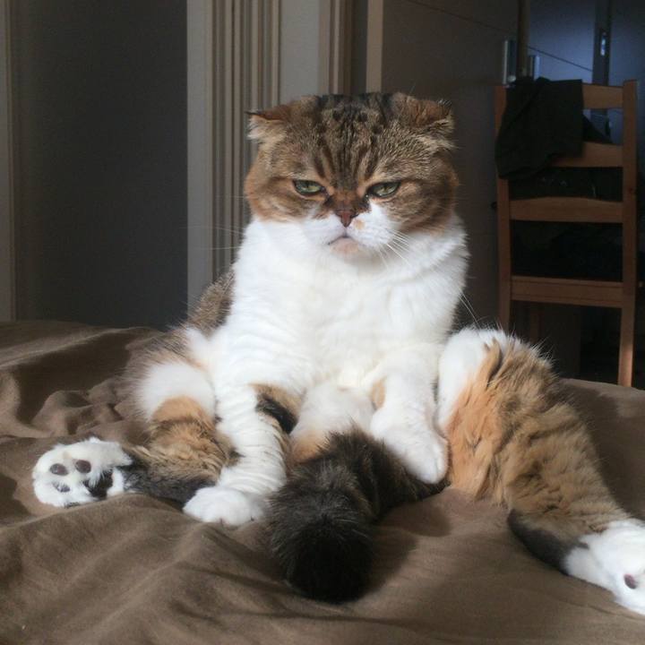 8abf5e50 9fe8 47e3 b9a8 857a6d1e4203