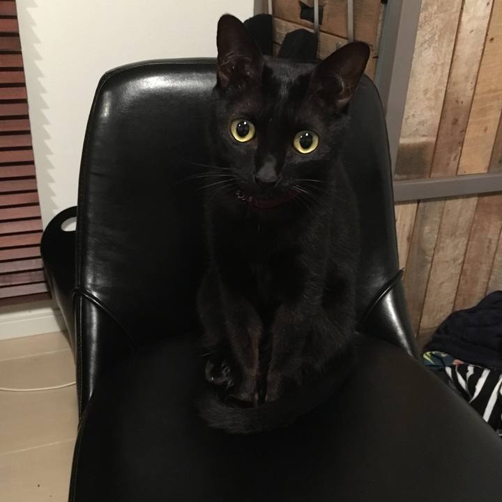 8abfad3b 7446 4b08 8730 cb8741b7cf1a