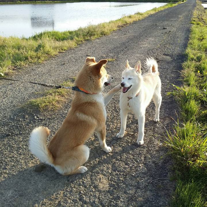 8ac00d37 6085 4fb2 a6ef 28e75b02a56c