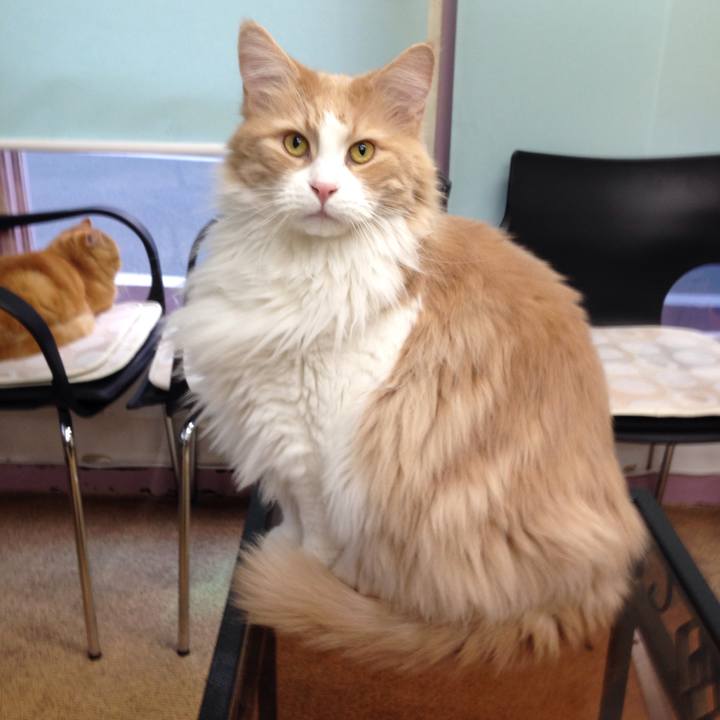 8ac0a371 ade1 4c56 93b0 bf31e5f32228