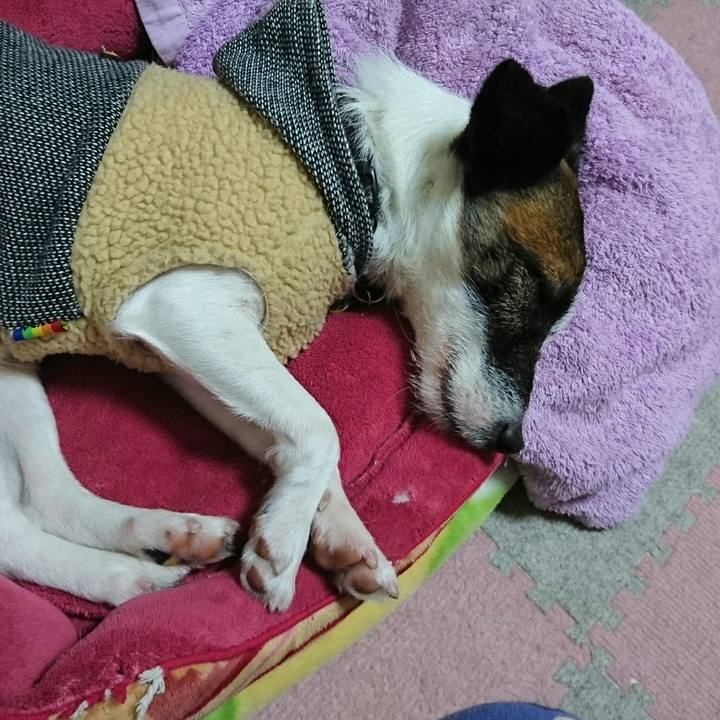 8ac23465 b825 4d83 8d18 f99520b98bb8