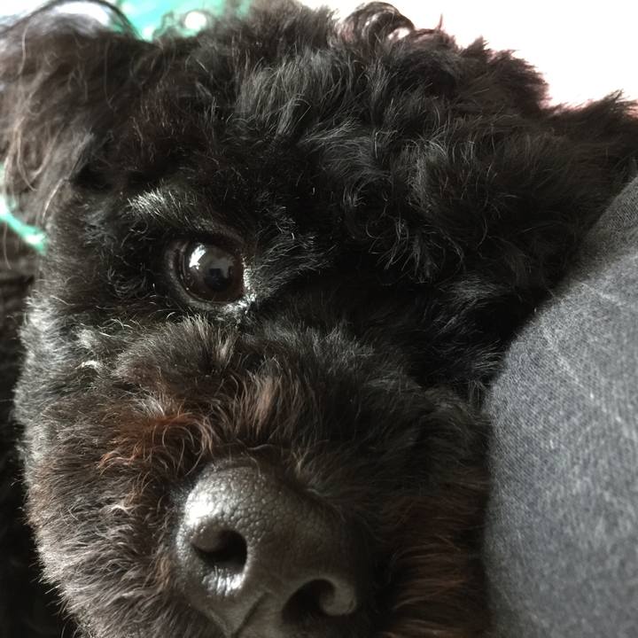 8ac26ca5 38df 41eb 90c6 33cdda767336