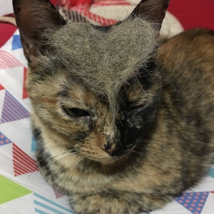 8ac2e8f3 f8f5 4d62 86f0 d45cdd87bbe3