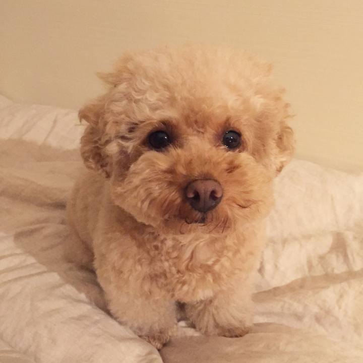 8ac3071b e92a 478b 9b37 2a4dfa60b5d8