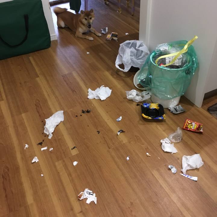 8ac3187b 1793 4302 bdbe 950e6e555b21