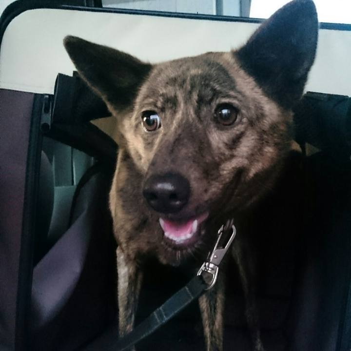 8ac39c69 ebcf 4433 8986 89610d4e359d