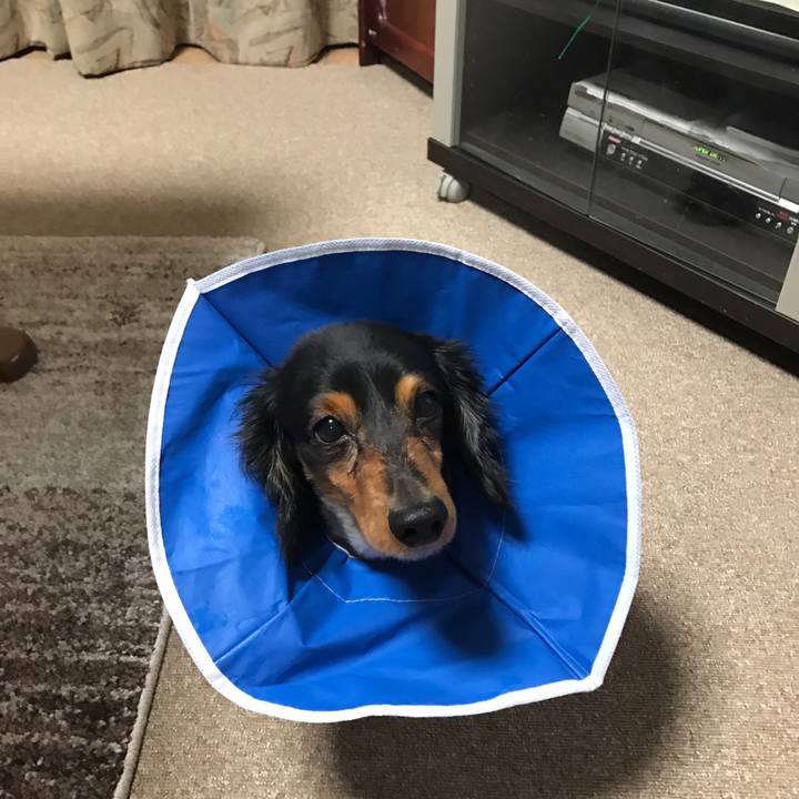 8ac5cd2e 7419 48fb 8a0a cf7a1b3605c4