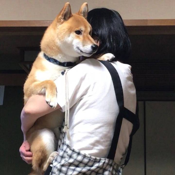 8ac6004d 22cb 4248 b1a6 c8af33d61a13