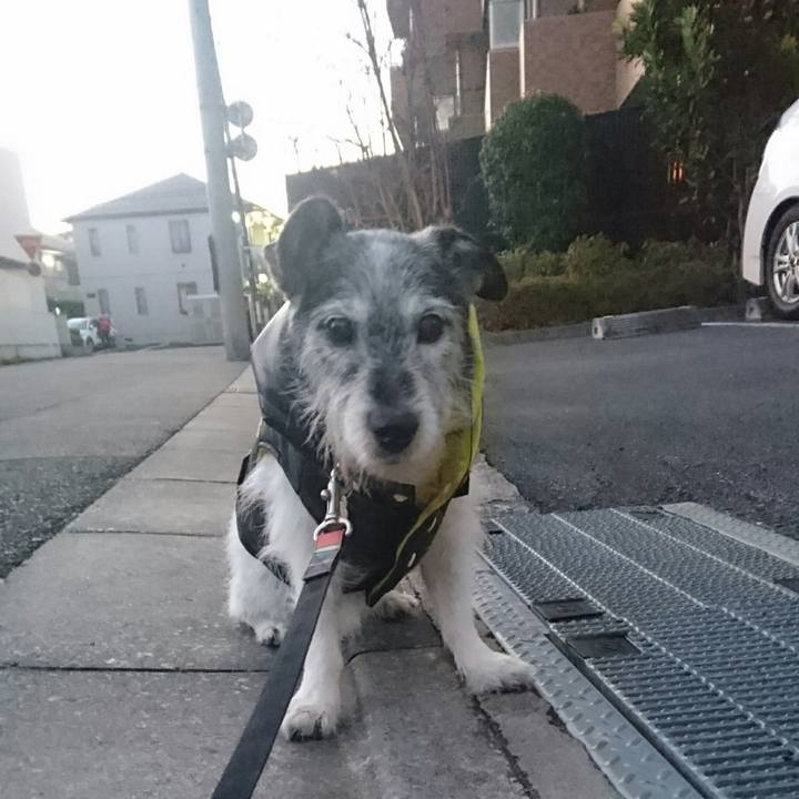 8ac710e0 766d 4cb4 9ba7 482b96f285c5