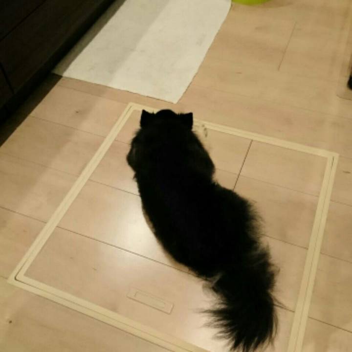 8ac71f38 1b57 4be6 877e b8fd788f277a