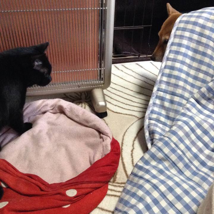 8ac73f02 c97b 46bb 8cb2 31d3e534bce1