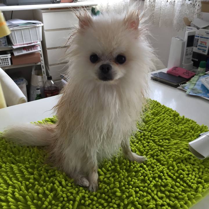 8ac7519a 88c9 46d1 b476 03b682ea336a