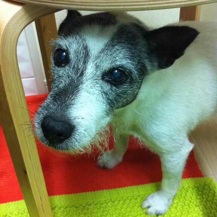 8ac7a595 1308 47ab 861f a3703bec907c