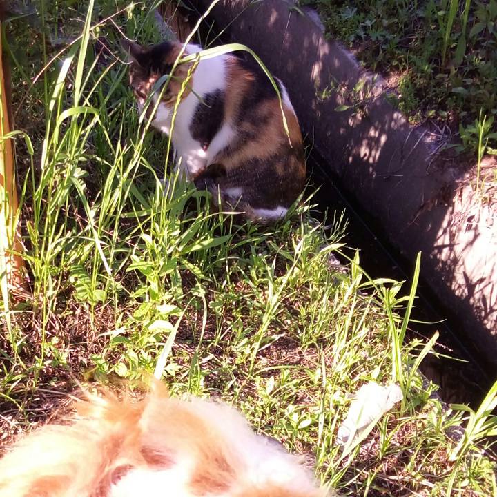 8ac874f7 d605 4793 8d74 8822b382d7ad