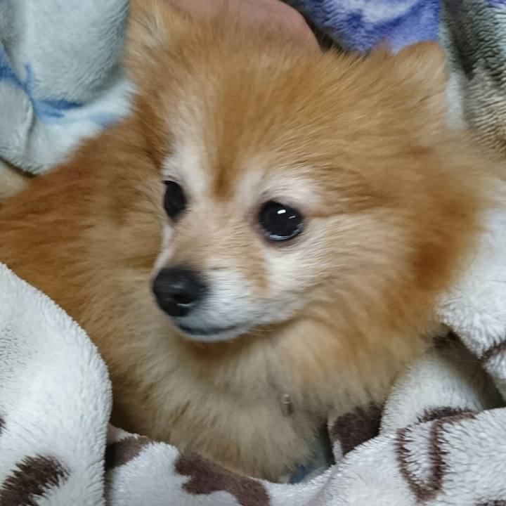 8ac877c9 17e4 4bbd 8033 285559d79879