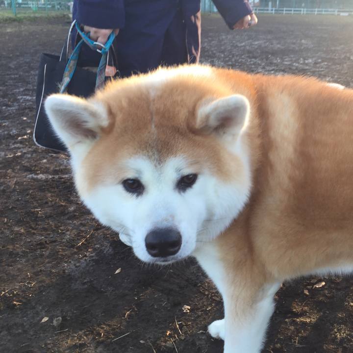 8ac89f3c 716a 41aa a7eb dade7a5b9f39