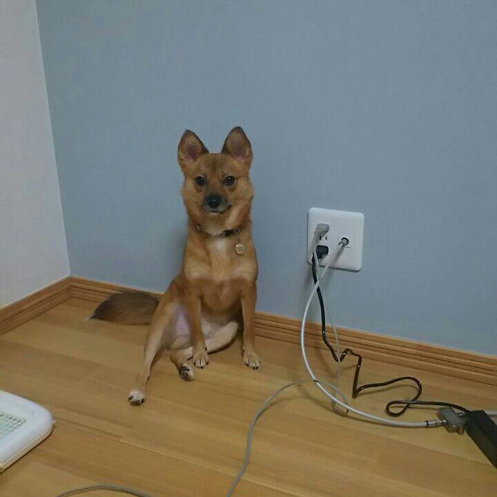 8ac8a5f3 0f97 4869 bf65 70526f5a03ff