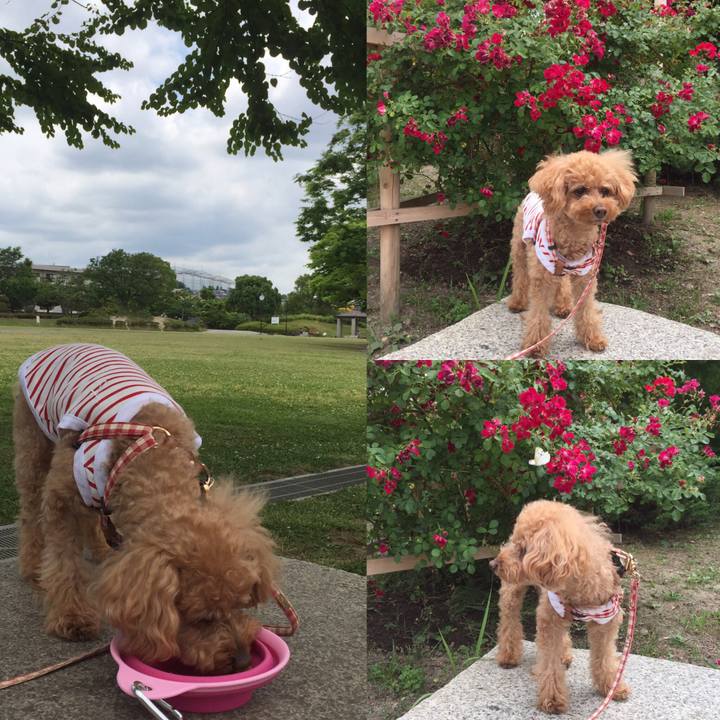 8ac98c6f a096 48be a451 c0ee811308c2