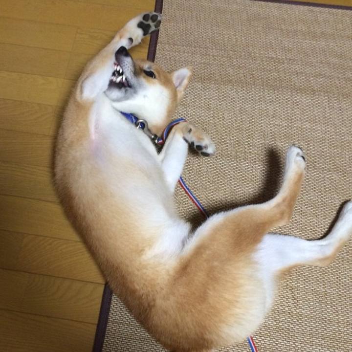 8ac9e7d0 6f69 4c8b a937 5486b50bdace