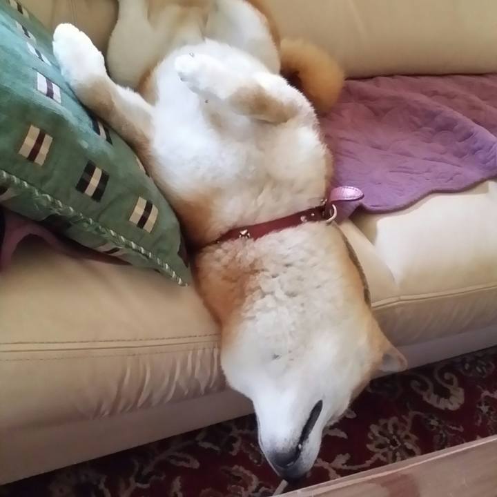 8ac9ffd8 1063 4f64 ac26 1f725f245638