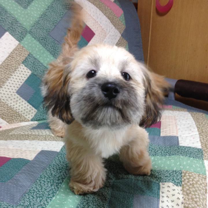 8aca215e fc57 4cdd 9837 94e7ca51a7b8