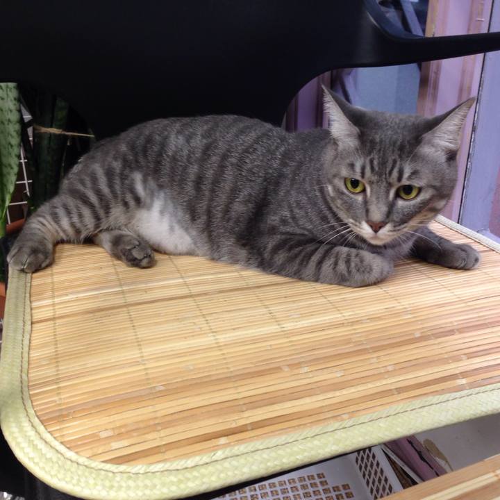 8acb428c 3ee1 4021 bc26 95348a301735