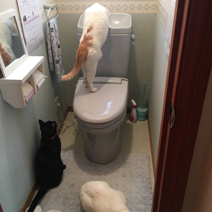 8acc0148 817c 449e 9f35 7f0d009bd68f