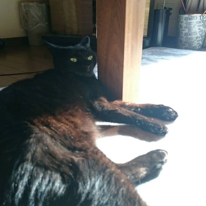 8acc1353 03d2 4654 8101 db4f8ae72275