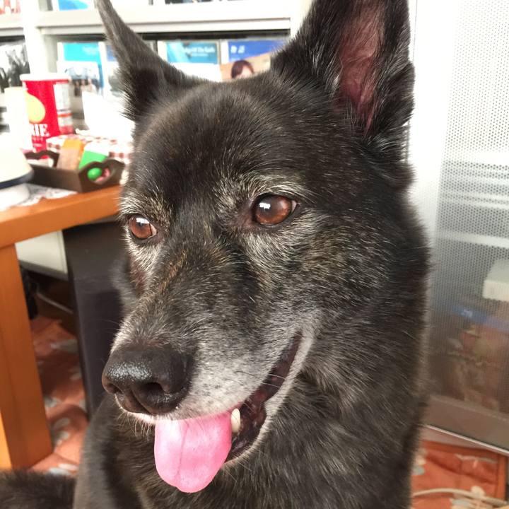 8acc983c 7e20 4ef1 a3f4 54dcdb3efe00