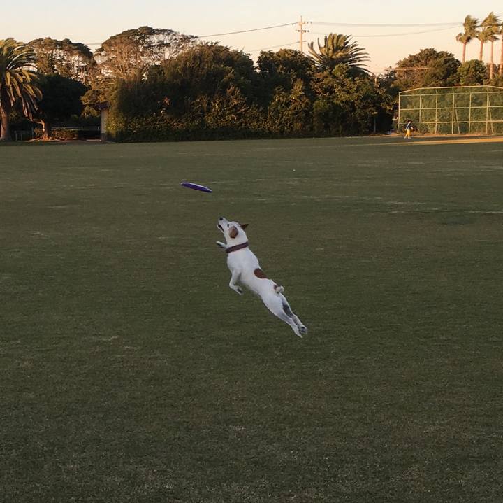 8acca894 00cd 4b02 b0a4 915b9fe506db