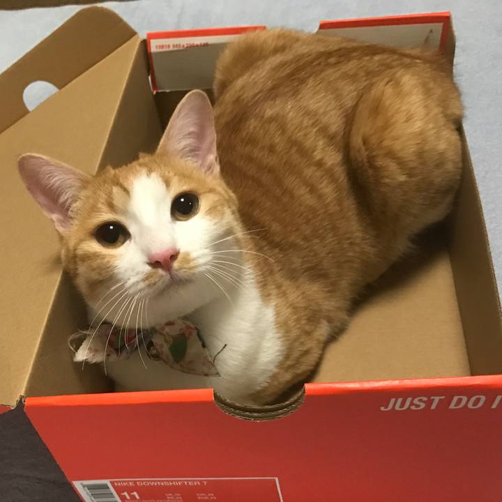 8acd2a12 2f46 4cf6 884c 727d1941555e