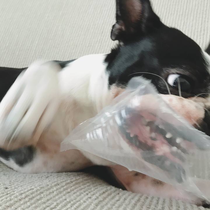 8acd4b64 4abd 4dc2 b2d7 2cd0b470b31d