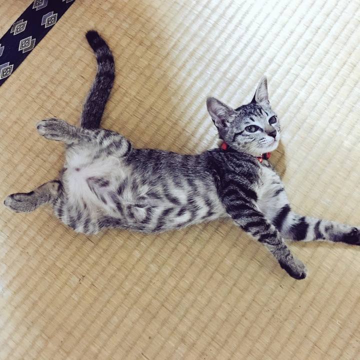 8acd677a dcd5 4fae 8027 9f8c015c83ea