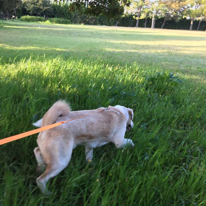 8ace2430 3b4e 4411 8610 ac52e3b24f1b