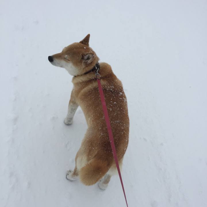 8ace40c1 3390 4587 a820 1acb50ed9e98