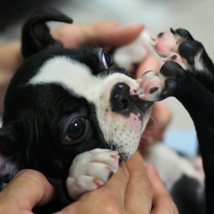 8acf2a60 9dcf 44e5 820c 2c8e0062c71c