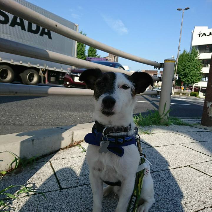 8acf4f99 fc58 4051 8004 70aa5c97be6d