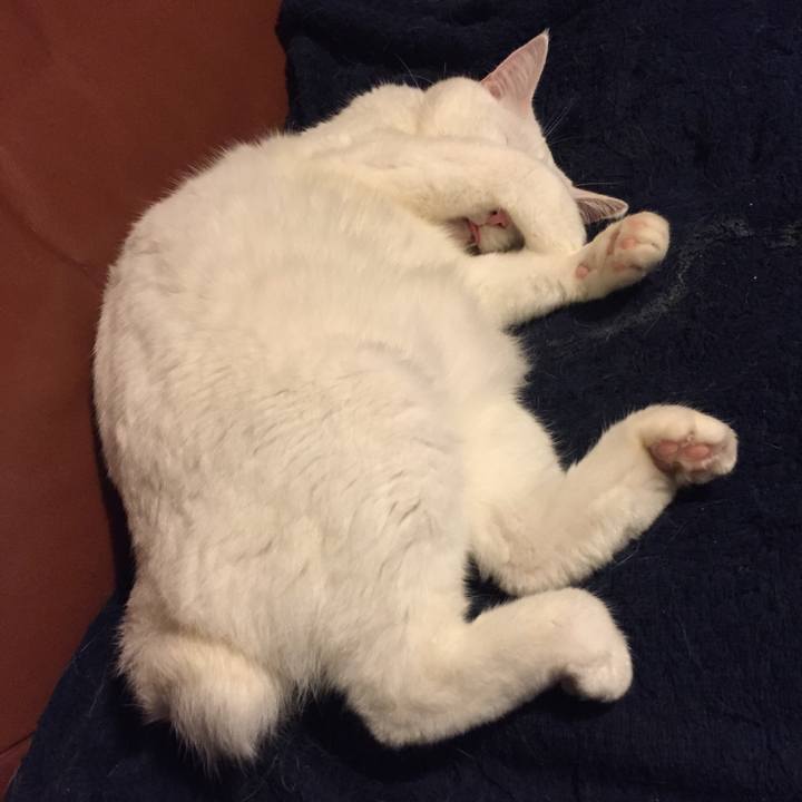 8acf910e d47f 4b33 a68c f7329649b23e