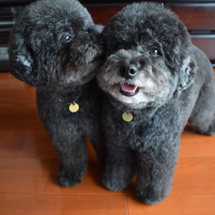 8acfa5e8 13f0 43f2 83b4 6bccd46a53aa