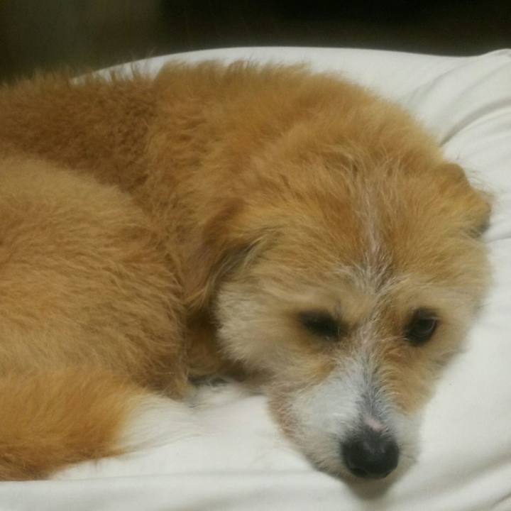 8acfb885 d813 4f19 af69 0730b4f8586d