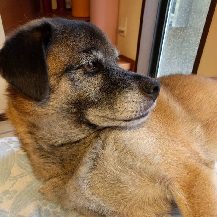 8acfe884 db94 4c29 9cdf e61a39d96d6e