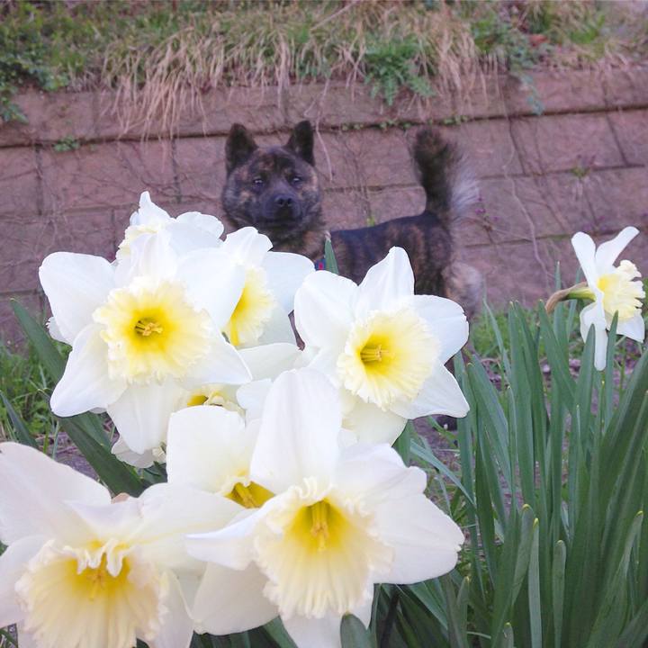 8ad0913f 0426 4185 8679 565a1a508b8b