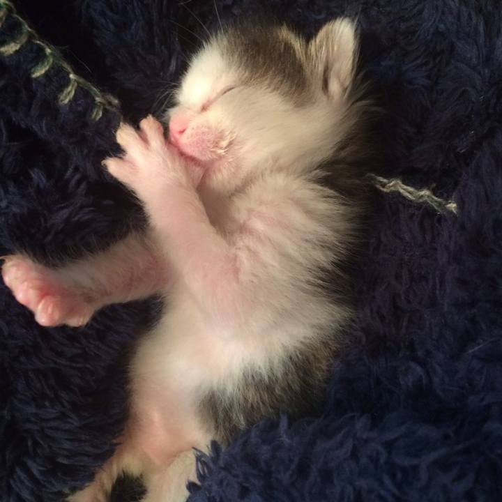 8ad0c25e 6918 45e8 8b6c aaeb1e1423db